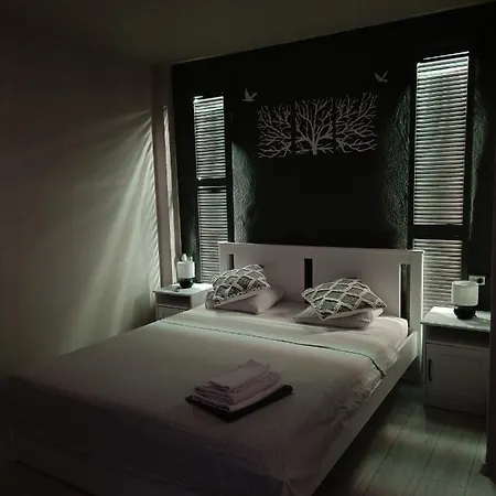 Apartment Old Town Within Bucharest
