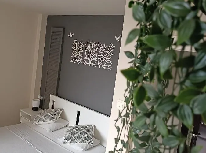 Old Town Within Apartament